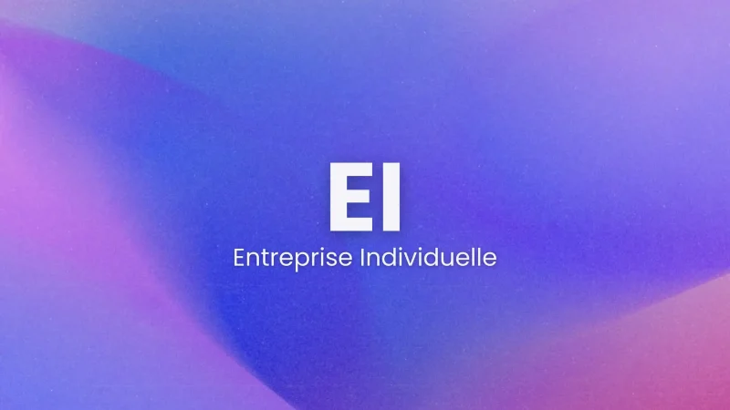Entreprise individuelle
